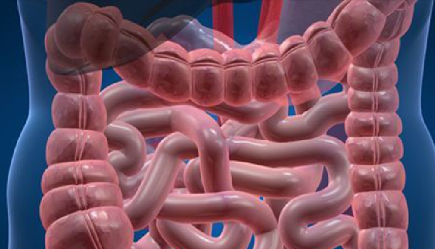 7 أسباب لزيادة غازات البطن يجب