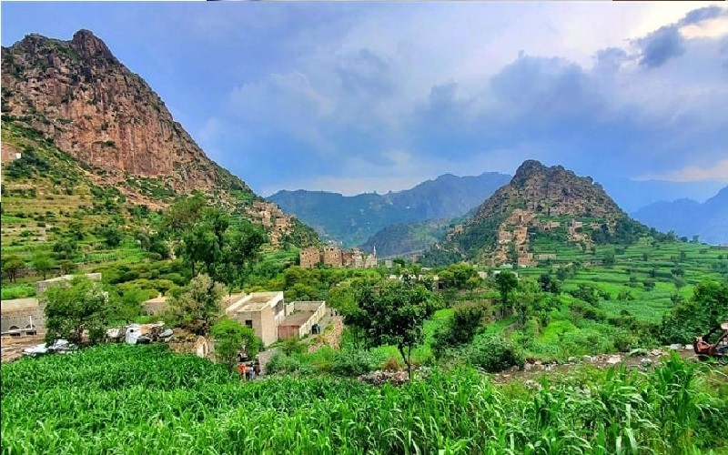 يمني يقتل أبنائه الثلاثة بعد عودته