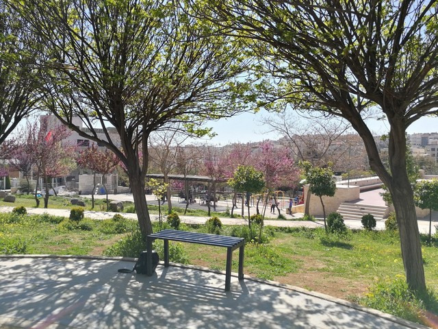 إلى الرياديين والرياديات: هذه المساحات خصصت