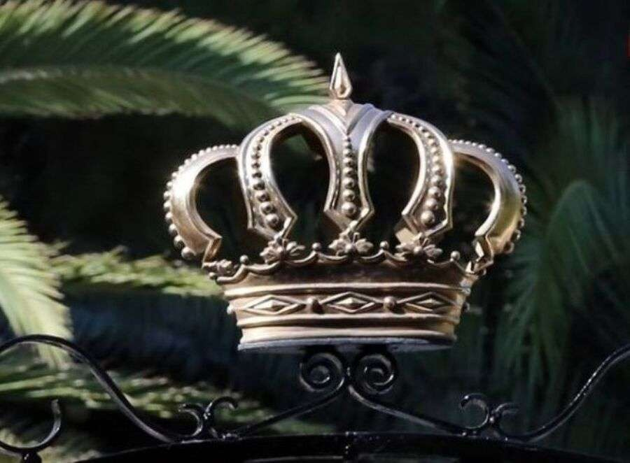 إرادة ملكية بنظام ممارسة مهنة تقني