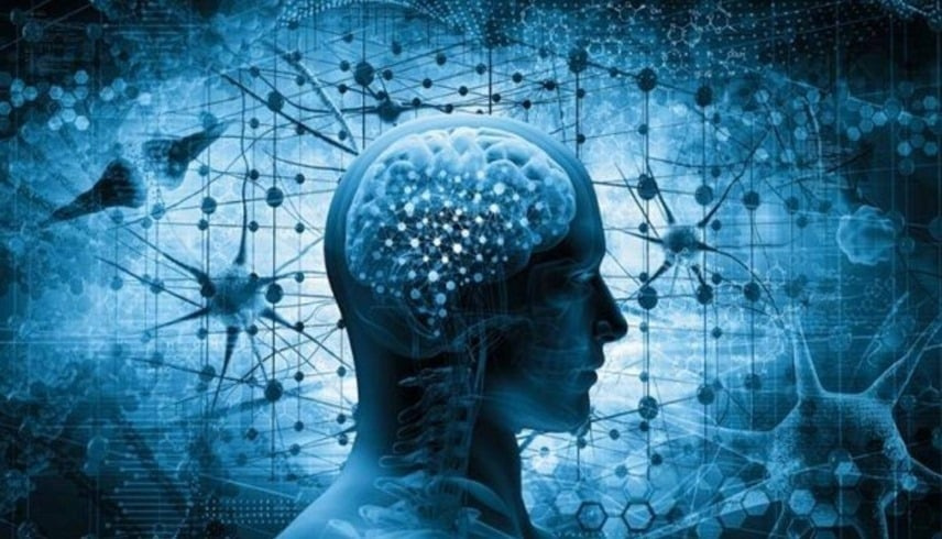 علماء يكتشفون حاسة سادسة مخفية في