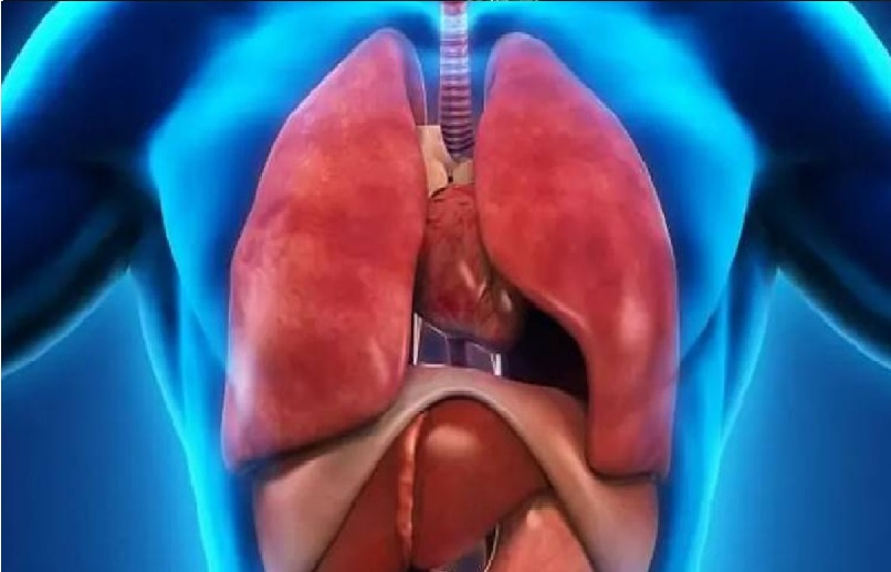 تحذير.. عمليات جراحية تقتل حصان طروادة