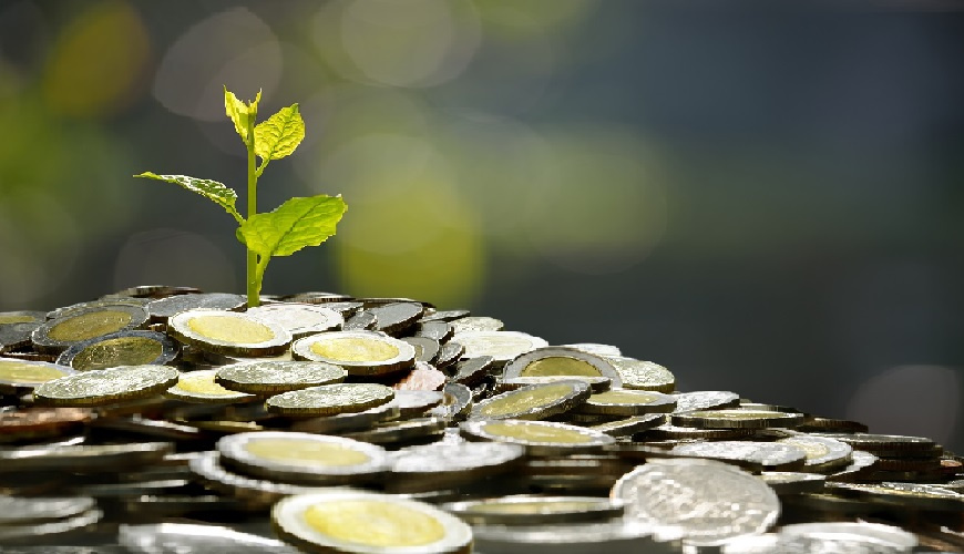 زكاة المال المشترك بين الزوجين، وما