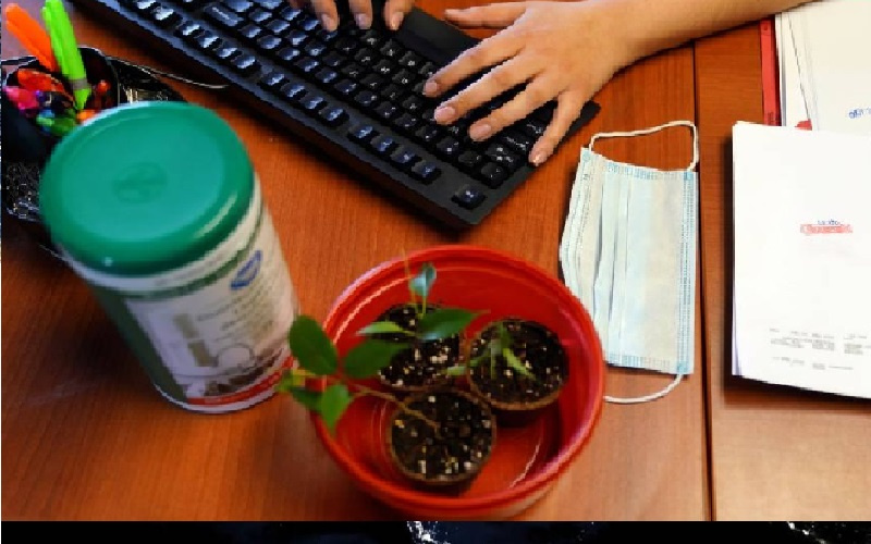 العمل من المنزل بلا خبرة.. أكثر