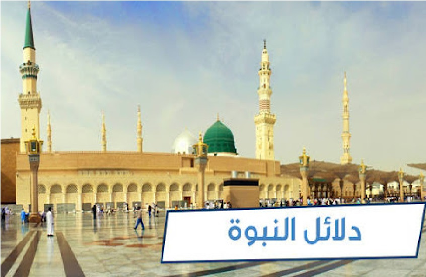 شاهت الوجوه