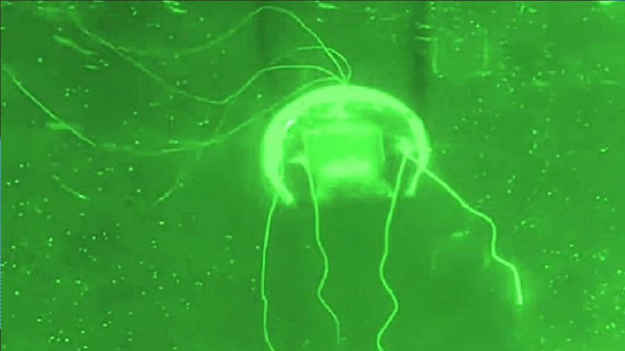 الروبوتات الناعمة.. الصين تكشف عن قنديل