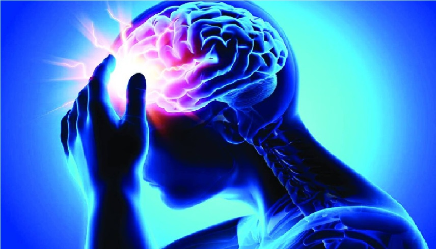 كشف سرّ الكود: كيف تنسى خلايا