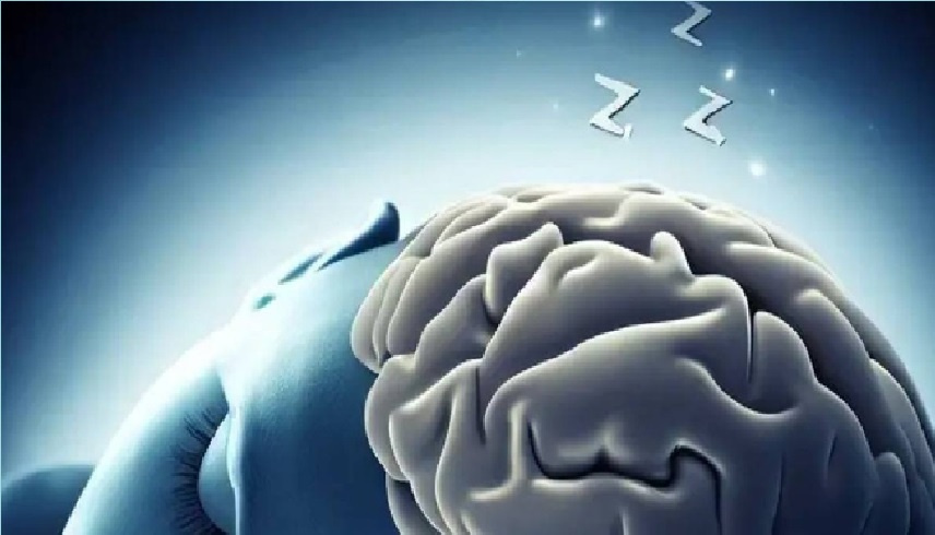 النوم ليس للراحة فقط.. اكتشف النظام