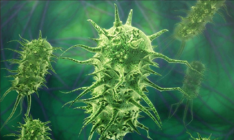 المركب الوسيط: كيف ولدت صدفة أقوى