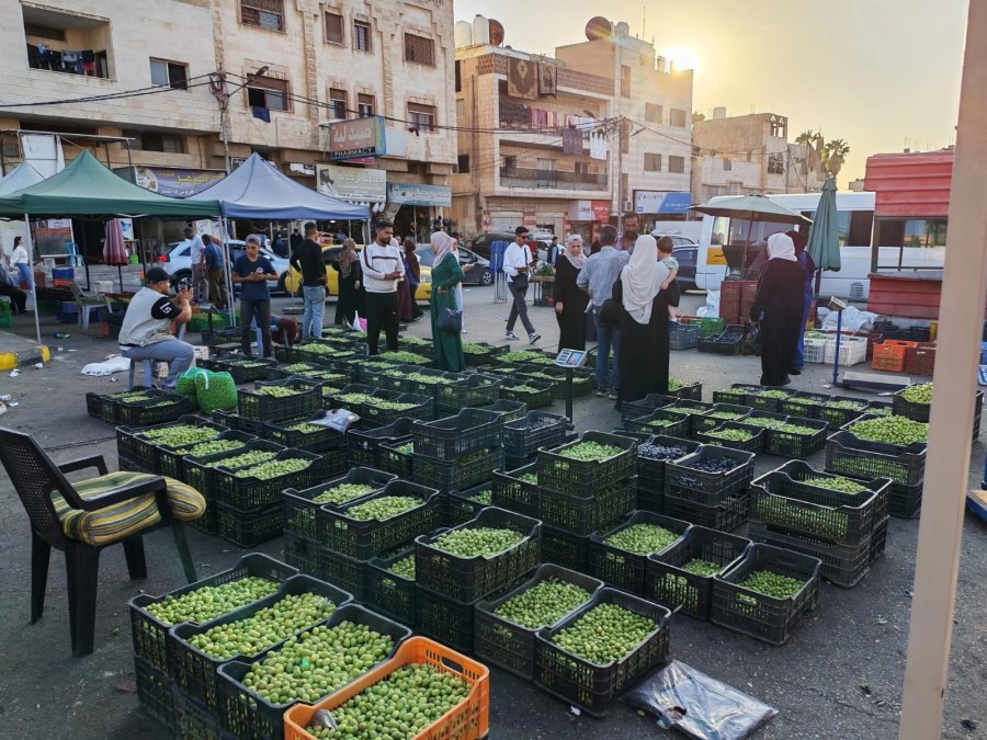 سوق زيتون الرصيع في إربد.. فرصة