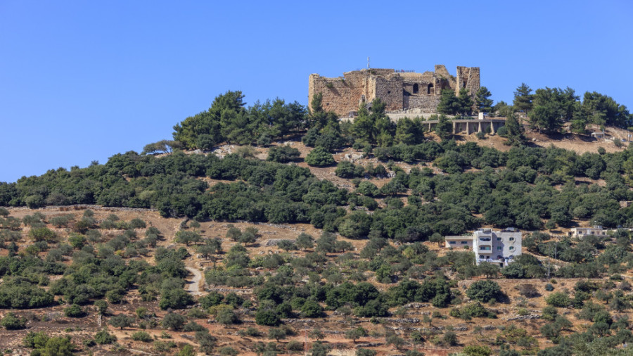 عجلون: دعوات لتكثيف حملات التوعية لمكافحة