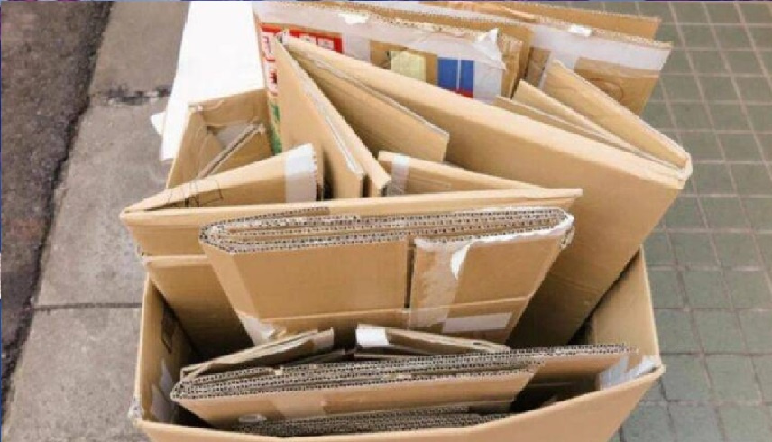 ثورة البناء المستدام: جدران من التراب