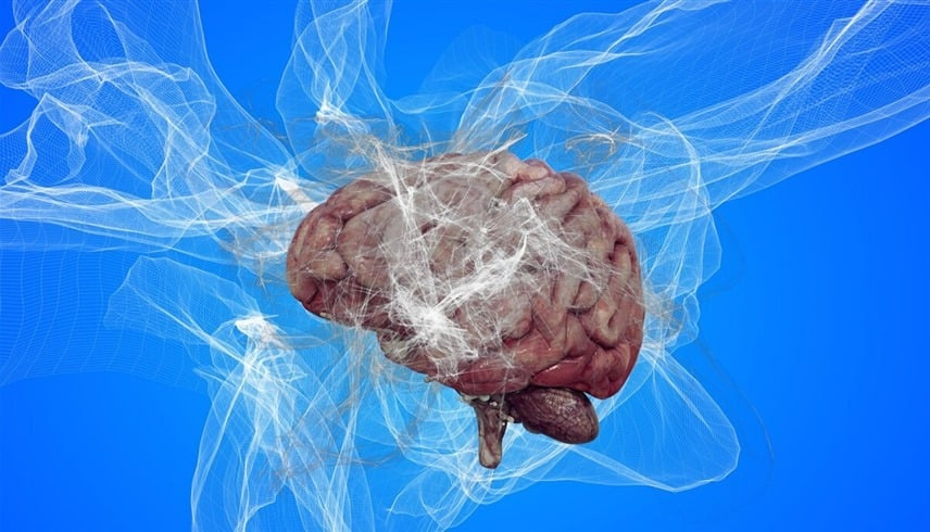 صدمة علمية: السبب المجهول في الدماغ