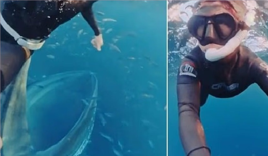 في اللحظة الأخيرة: غواصة تنجو بأعجوبة