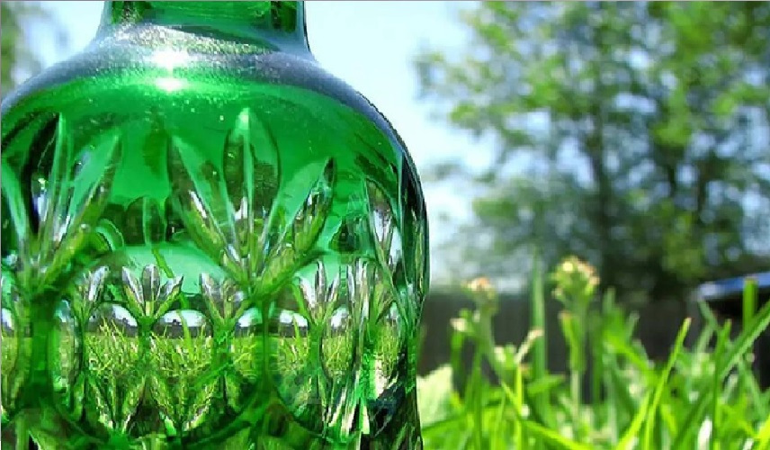 بنية ورقة الشجر: بلاستيك حيوي جديد