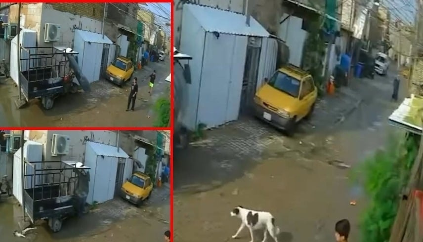 كيف نجت الصغيرة من الموت بأعجوبة؟