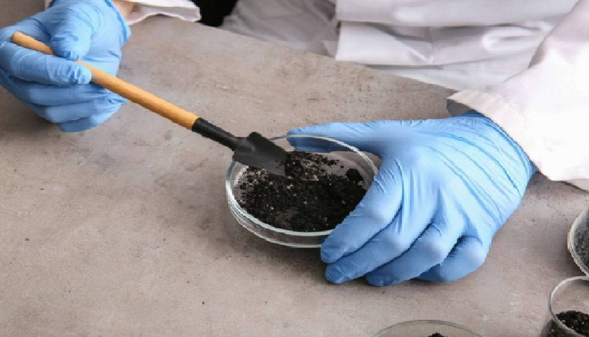 ثورة البناء الخضراء: نفايات تتحول إلى