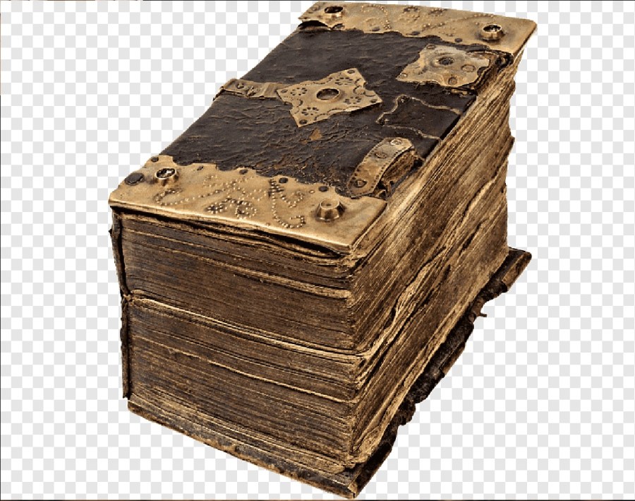 قضية الهبة المشروطة: هل تسترد العمة