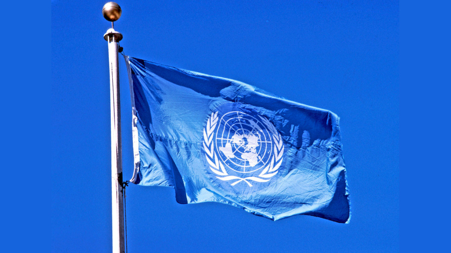 تجديد تفويض أونروا.. انتصار جديد للدبلوماسية