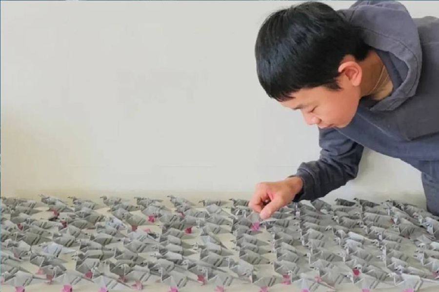 فيل واحد يقسّم 4000 فيل ابتكار