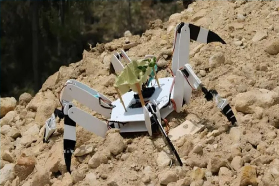 حل مشكلة 40 عاما: روبوت تروفادور