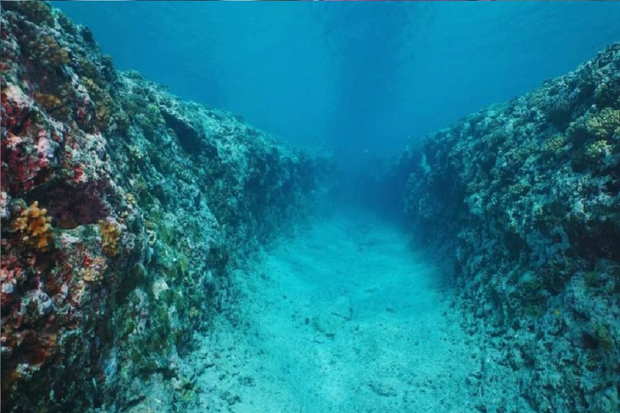 جزء مفقود من التاريخ: جزيرة موريتيا