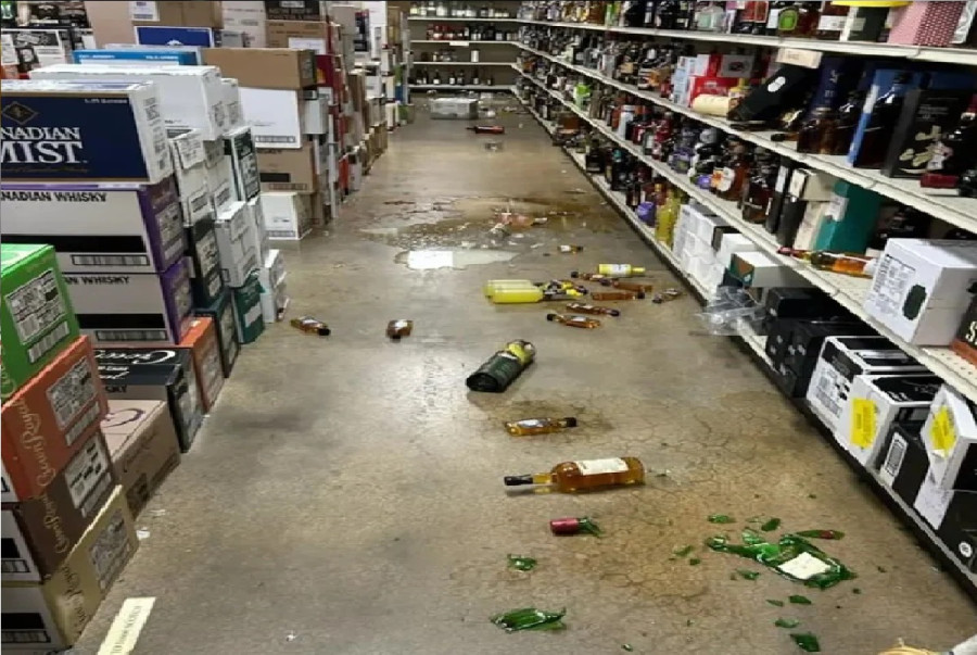 اقتحم المتجر وشرب حتى الثمالة راكون