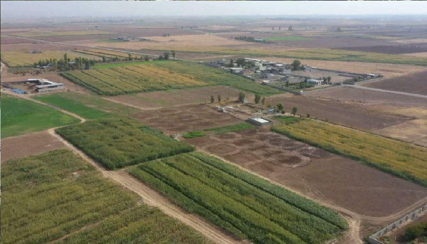 خلاف الورثة على أرض وعقار: هل