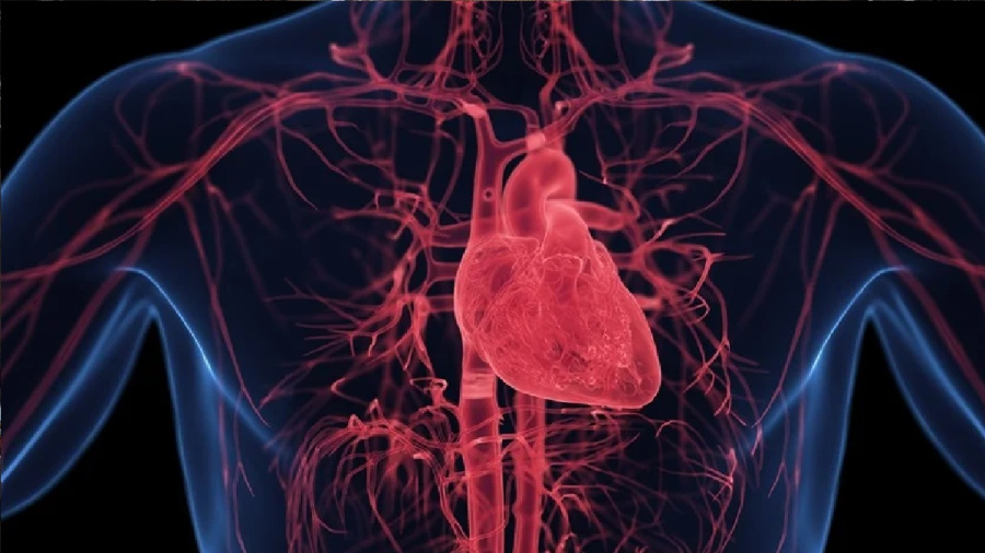 خطر وراثي يصل إلى 100 ضعف: