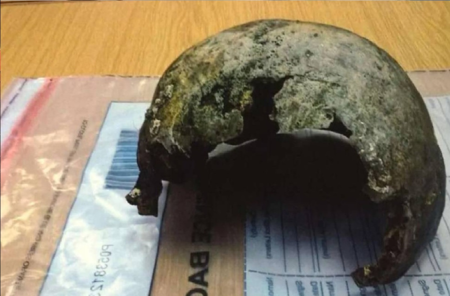 مفاجأة صادمة على الشاطئ: أهمية الحذر