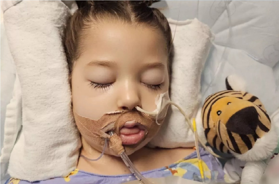 من نزهة بسيطة إلى غيبوبة: إنفلونزا