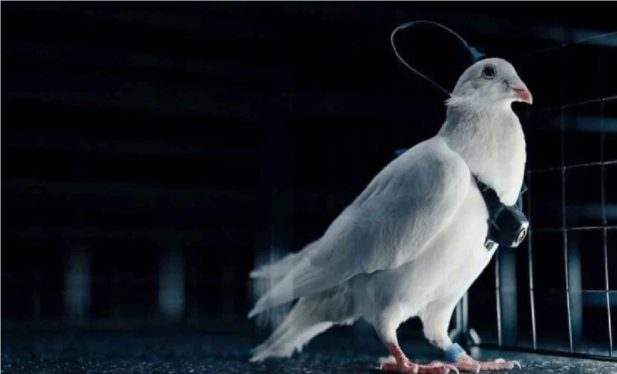 وداعا للطائرات المسيرة؟ روسيا تنجح في