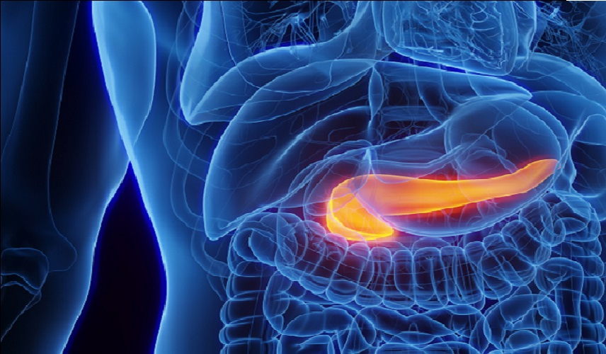 كشف علمي.. تطوير نماذج أكثر دقة
