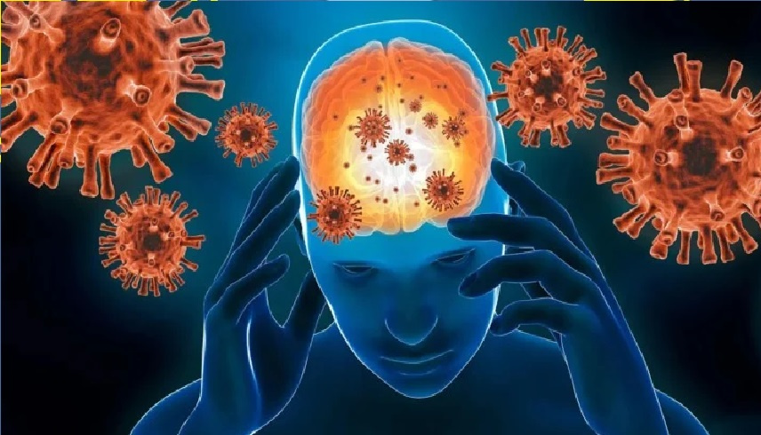 تغيرات في بنية الدماغ: دراسة أسترالية