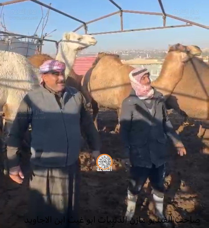 ناقة لمن يتوقع نتيجة مباراة الأردن