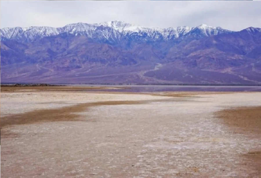الحياة تعود إلى وادي الموت: ظهور