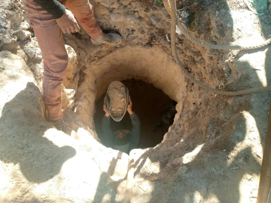 أبو عرابي: زراعة إربد نفذت 1062