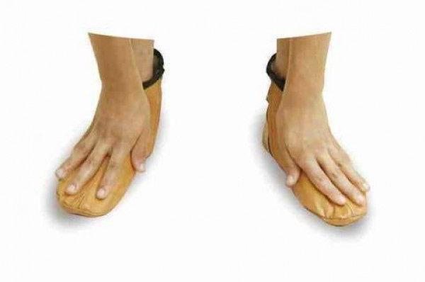 هل يجوز المسح على الخف خشية