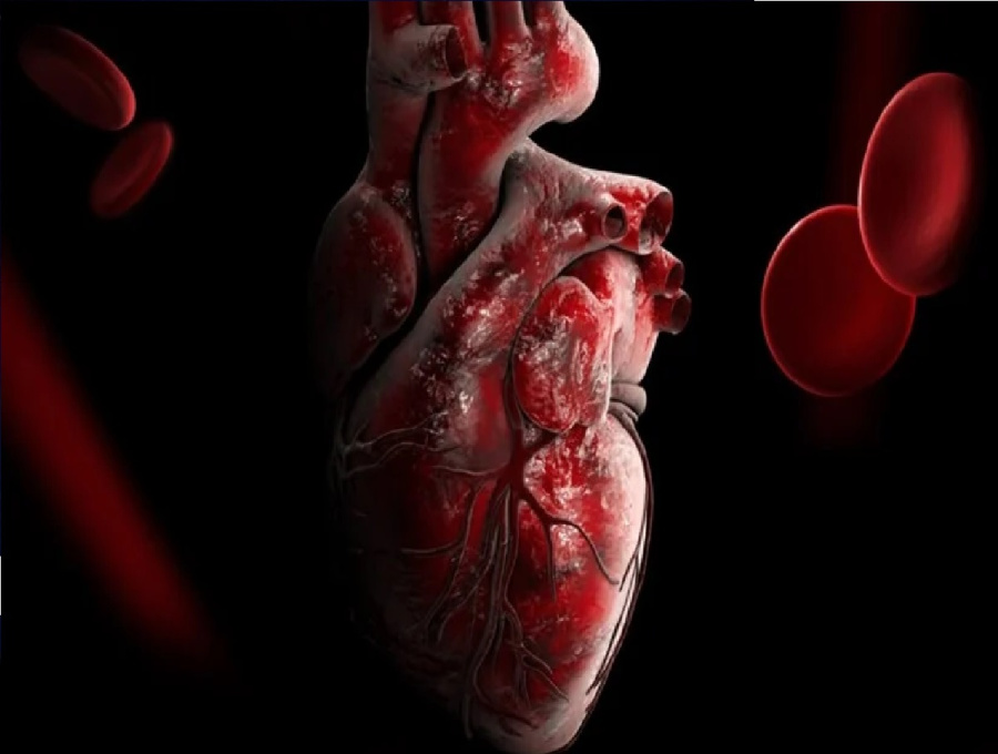 الذكور دون الثلاثين واللقاح: قراءة في