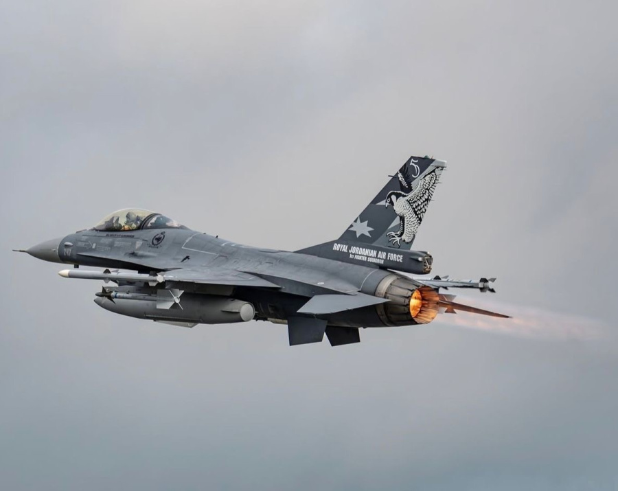 الخلايلة تكتب: نسورنا.. ملوك السماء وصواعق