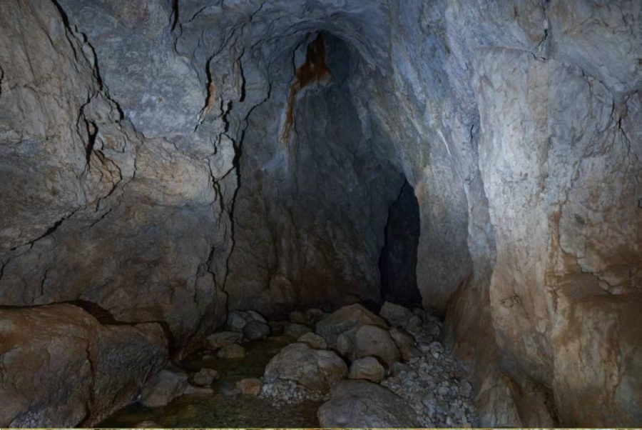 لغز تجاويف الأصابع: كيف تواصل الإنسان