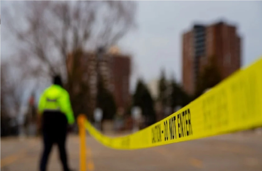 حصاد 2025: عندما تصبح الحقيقة أغرب