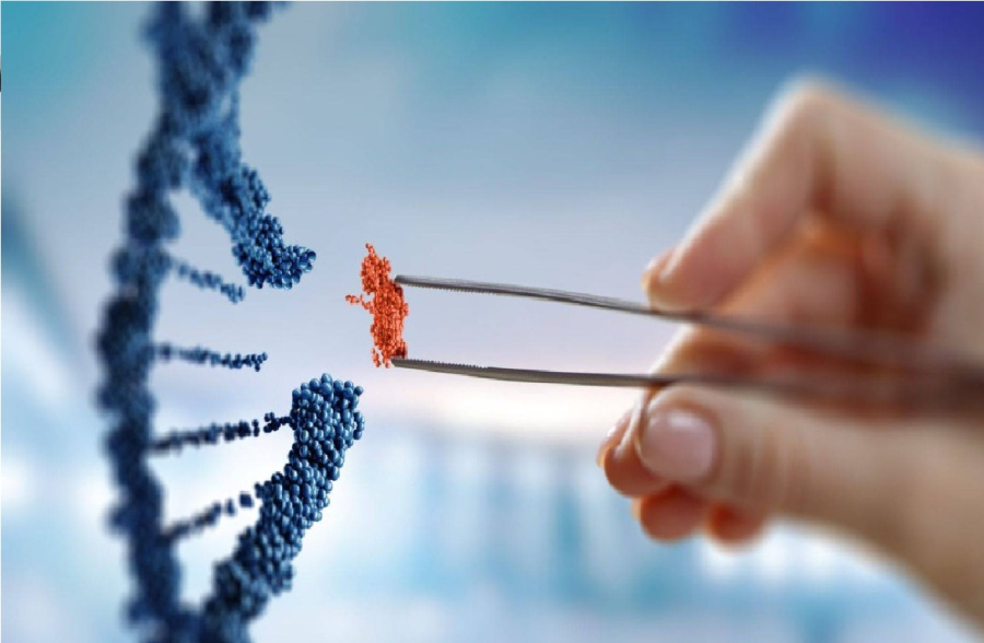 الحمض النووي يرسم وجوه الجناة: ثورة