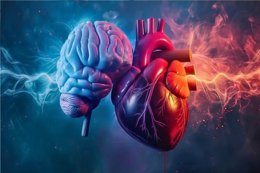 العصب المبهم: الحارس الجديد ضد شيخوخة