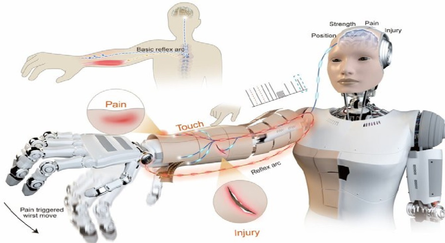 حينما تتألم الآلة.. علماء يطورون جلدا