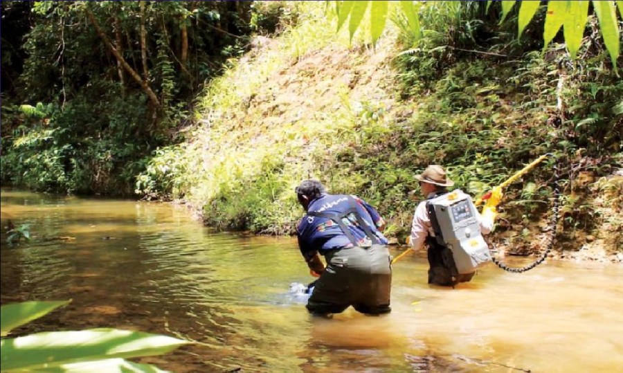 الناجية الوحيدة: حكاية السمكة الاستوائية التي