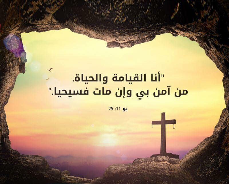 وفاة ابن اخت الصحفية رانيا تادرس