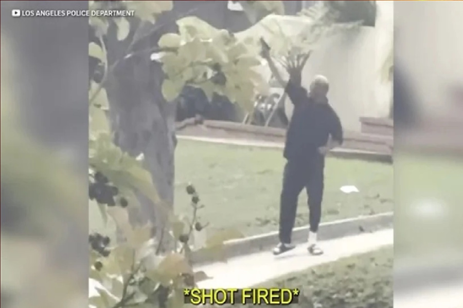 بعد مواجهة لـ 4 ساعات.. كلب