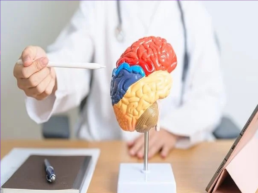 علاقة الساعة البيولوجية بالخرف: لماذا يرتفع