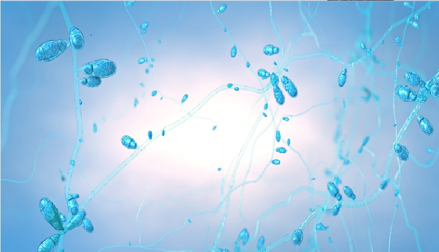 ثورة في الكيمياء الحيوية: تصنيع جزيئات